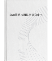 蓝天空-SDR策略与团队搭建白皮书