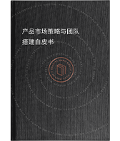 蓝天空-产品市场策略与团队搭建白皮书